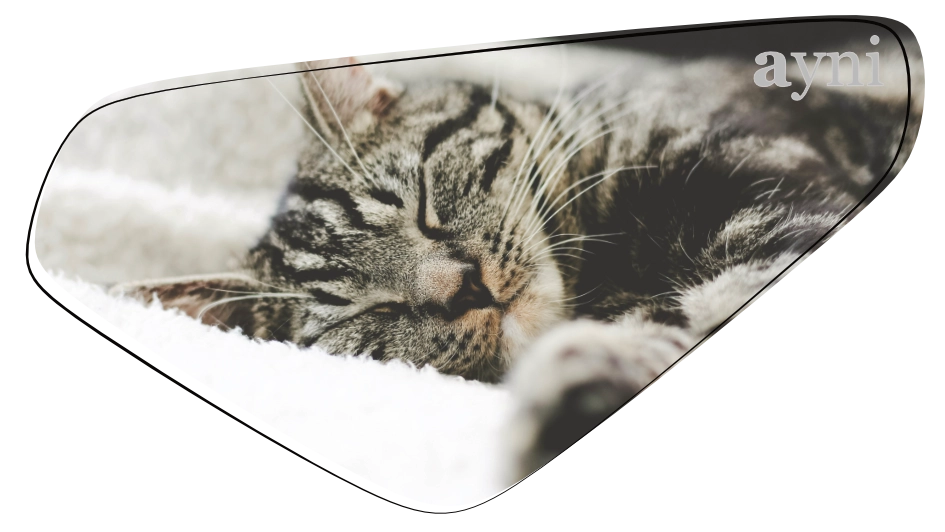 Schlafende Katze