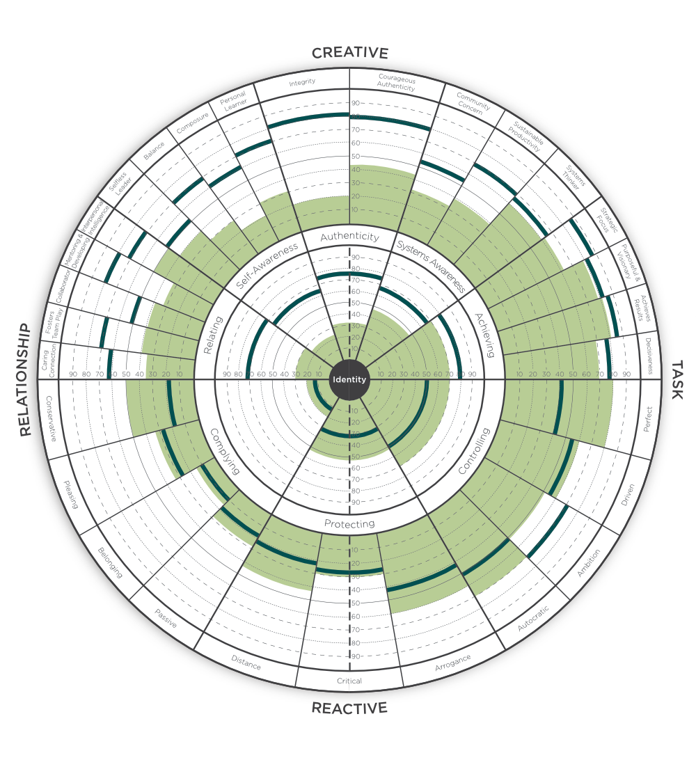 Leadership Circle Profile